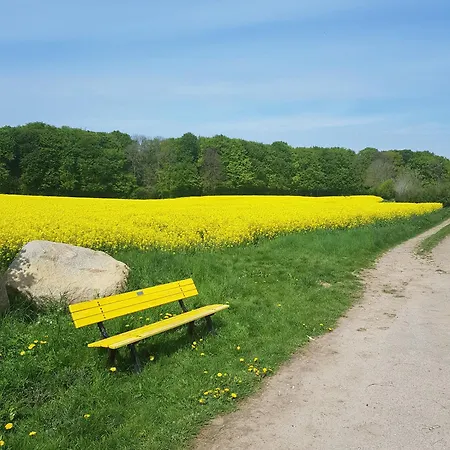 In Der Alten Muehle Brodersby-Goltoft