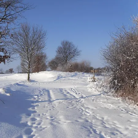 In Der Alten Muehle *
